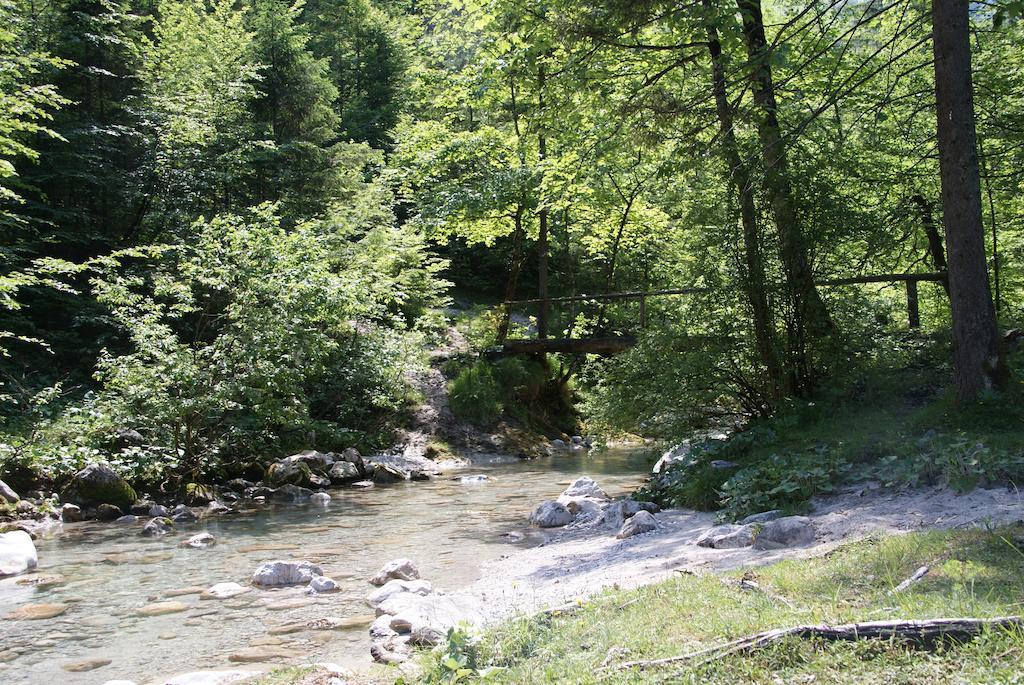 Ferienwohnung Bluntaumuehle Golling an der Salzach Rom bilde