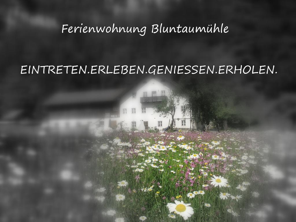 Ferienwohnung Bluntaumuehle Golling an der Salzach Rom bilde