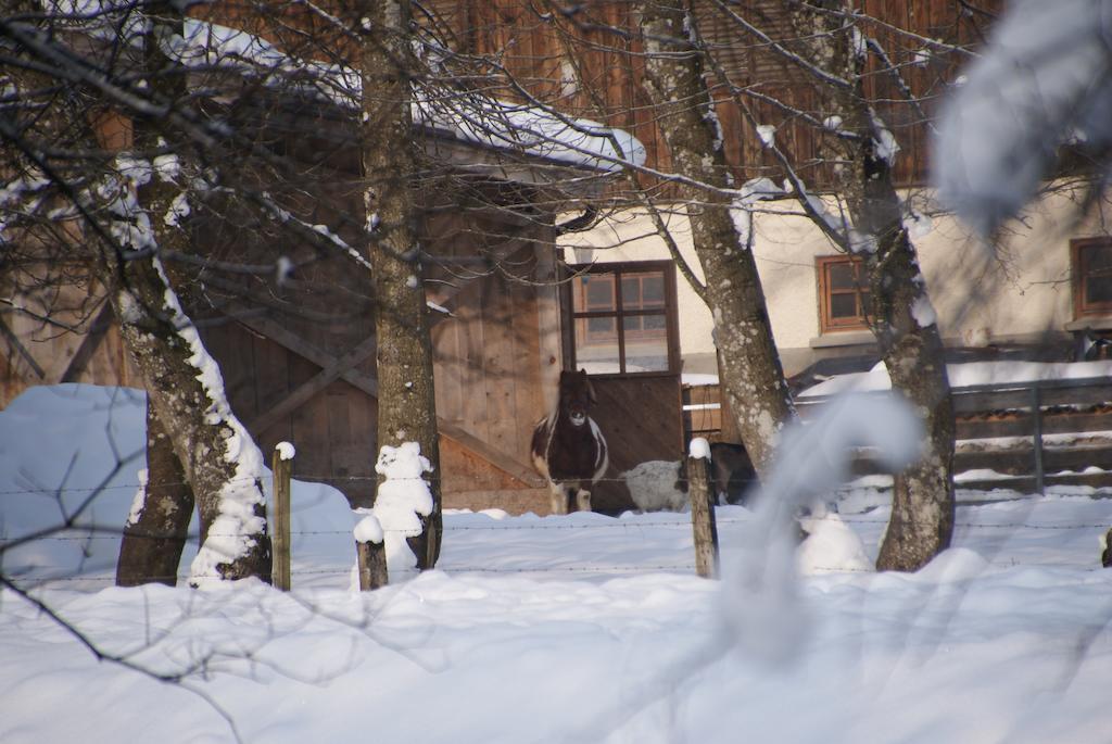 Ferienwohnung Bluntaumuehle Golling an der Salzach Rom bilde